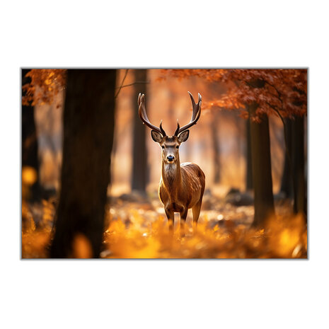 Wall Art "Het Herfstbos" • Dibond • met 4 boorgaten • Panorama