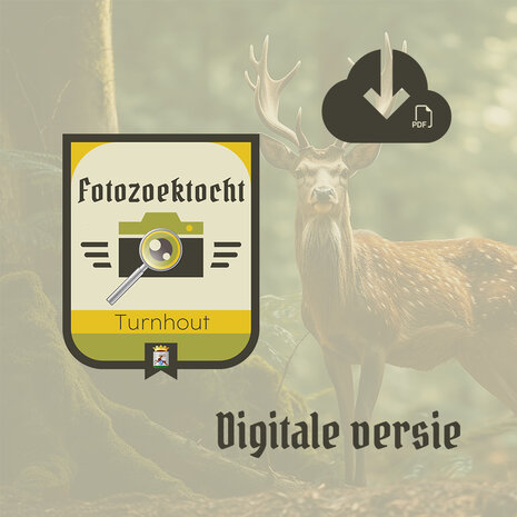 Fotozoektocht Turnhout - Digitale download