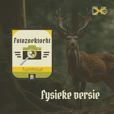 Fotozoektocht Turnhout - Fysiek spelbord + wandelroute