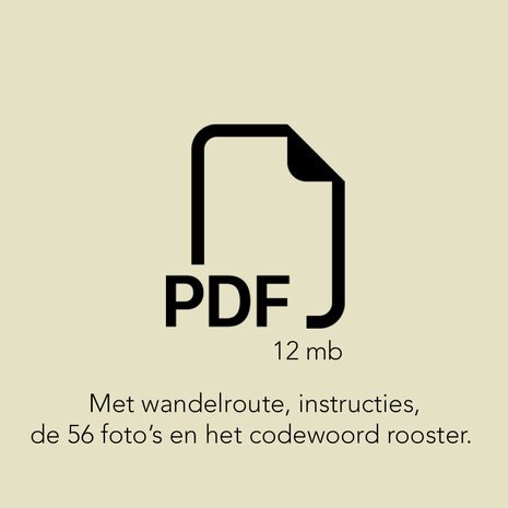 Digitale Fotozoektocht Doornik/ Tournai